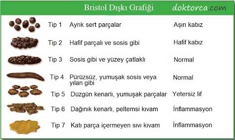 Bristol Dışkı Skalası kabızlık nedir ve nasıl tedavi edilir? Kabızlık Nedir ve nasıl tedavi edilir? bristol diski skalasi
