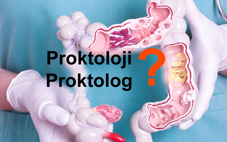 proktoloji proktolog nedir