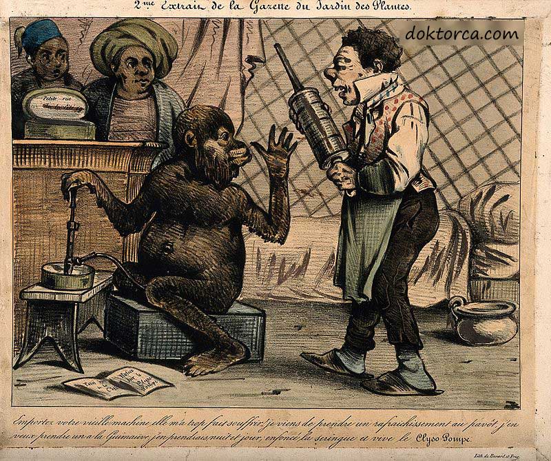 Hatmi ve afyonla doldurulmuş, yeni bir tasarım için eski tarz bir kederi reddeden bir maymunun 19. yüzyıl hicivli karikatürü kabızlık nedir ve nasıl tedavi edilir? Kabızlık Nedir ve nasıl tedavi edilir? tarihte kabizlik